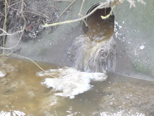 Klopapaier im Lachgraben